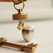 Brass and Silver Acorn Keyring