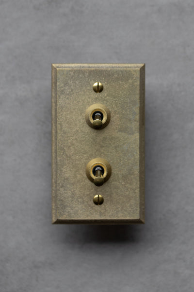 Brass Switch Plate- Rectangle Double Toggle