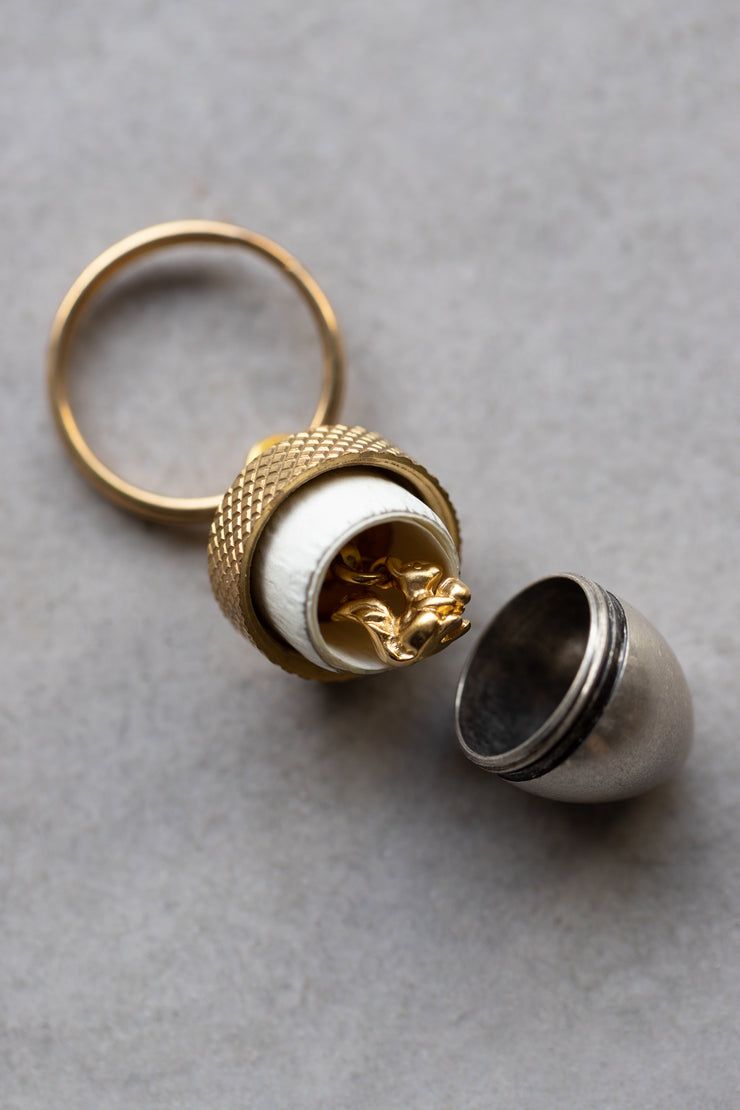 Brass and Silver Acorn Keyring