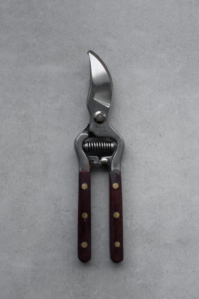 Thai Kitchen & Garden Shears