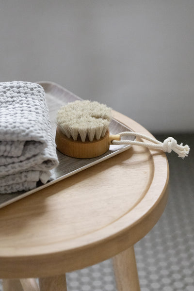 Bath Brush Puck