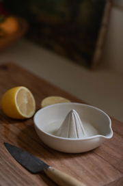 Ceramic Citrus Juicer in Sand